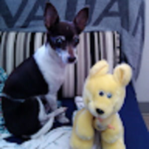 Meet your Posher, Lydia